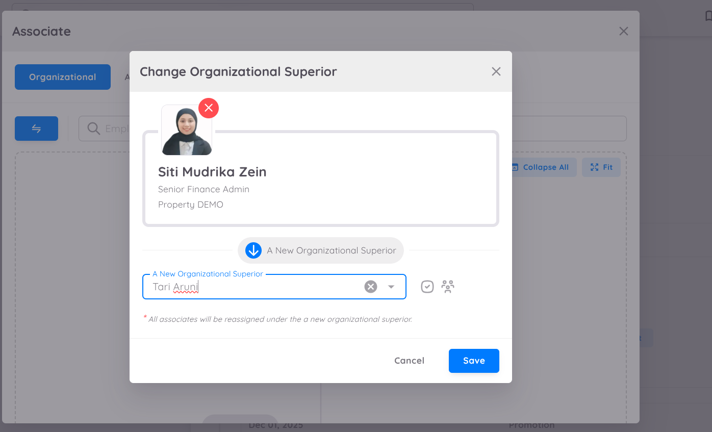 View of Change Organizational Superior