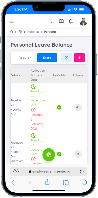 Extra Leave Balance view